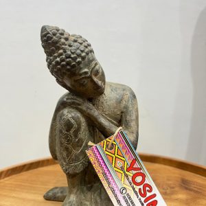 Buddha Thinking